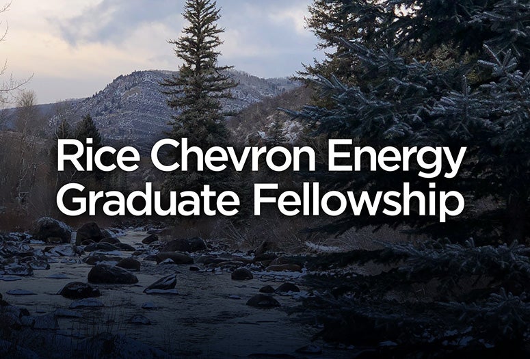 chevron fellows 