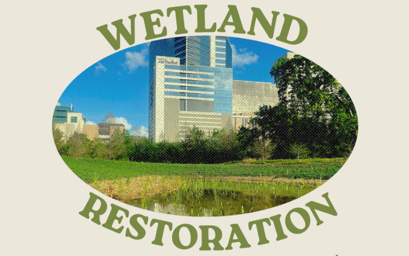 Wetland Restoration