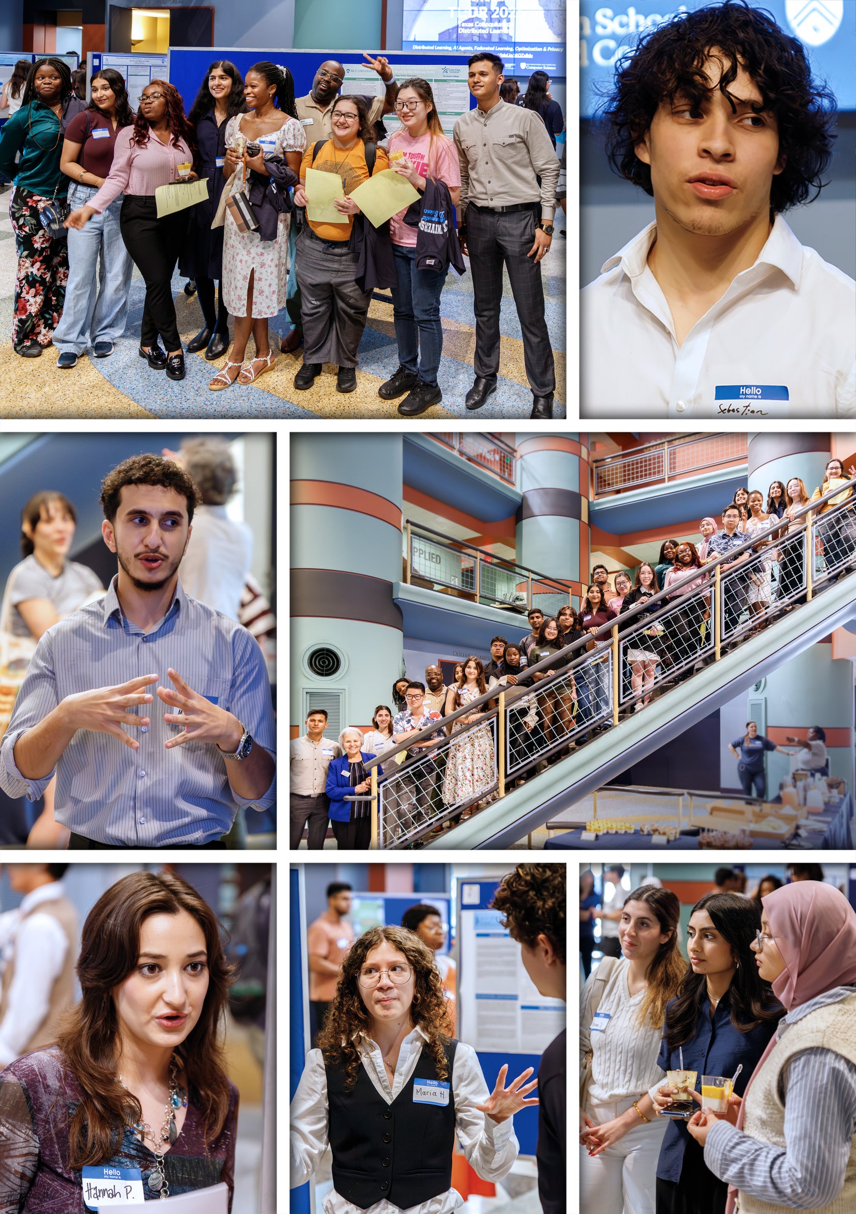 reda collage 1