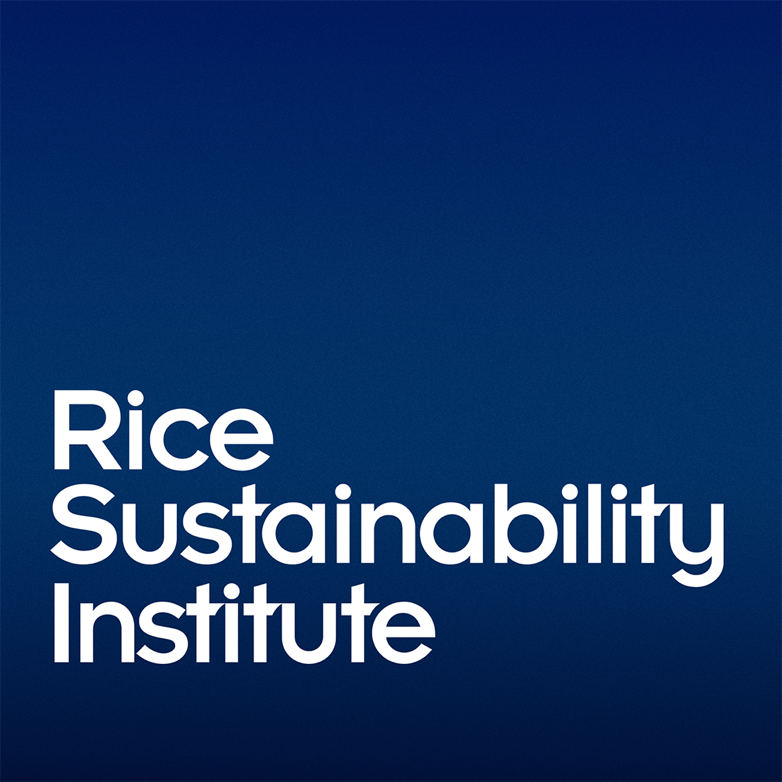 rsi logotype stacked blue