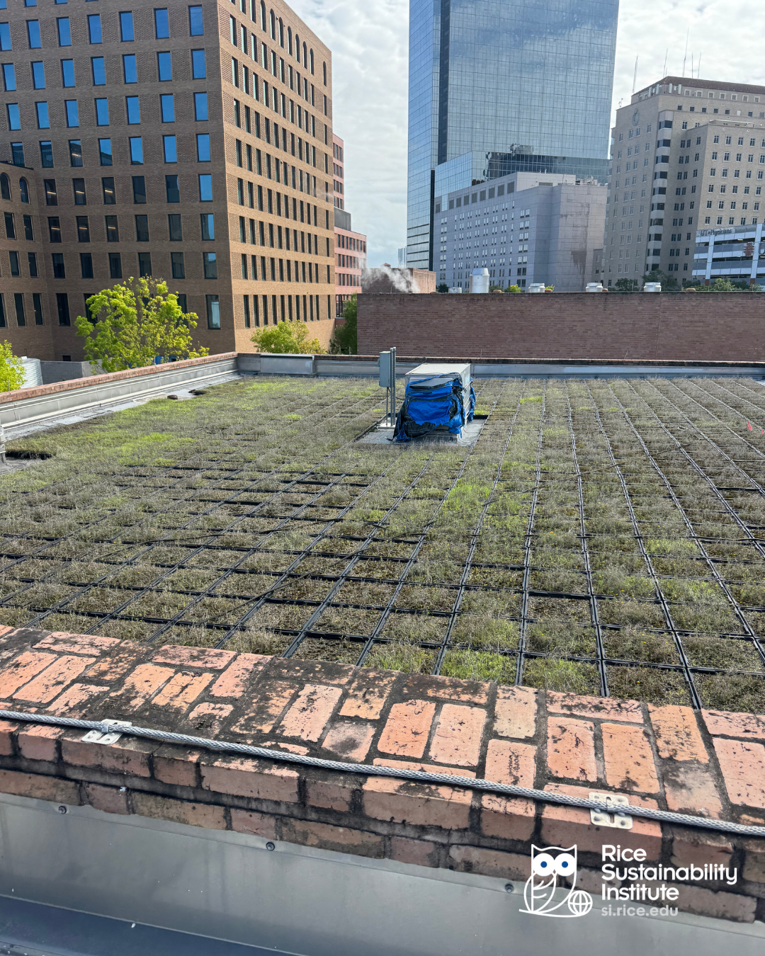 Green Roof