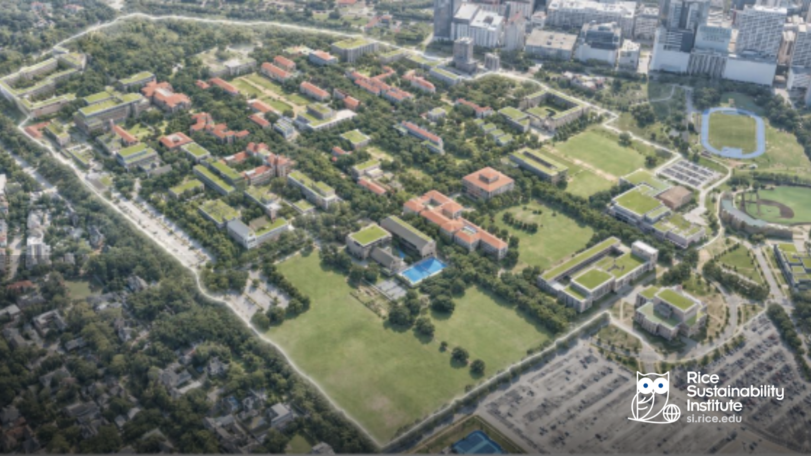 Possible Rice Green Roofs