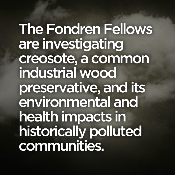 fondren fellows
