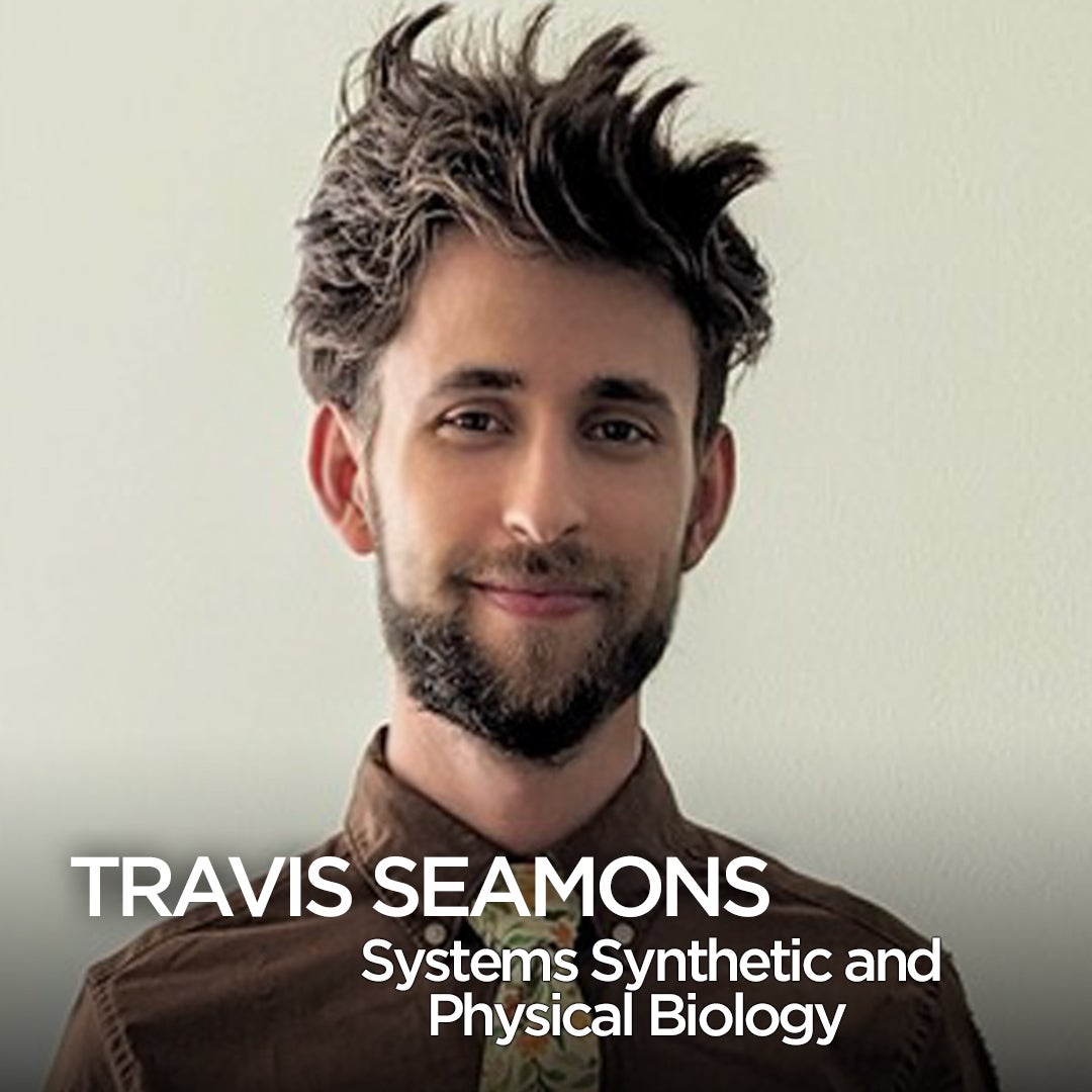 travis seamons