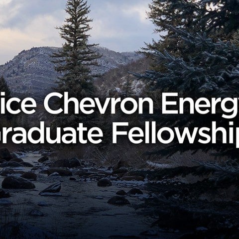 chevron fellows 