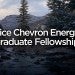 chevron fellows